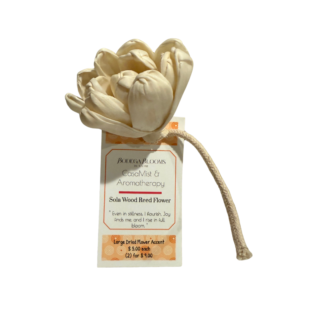Sola Flower Reed - Large