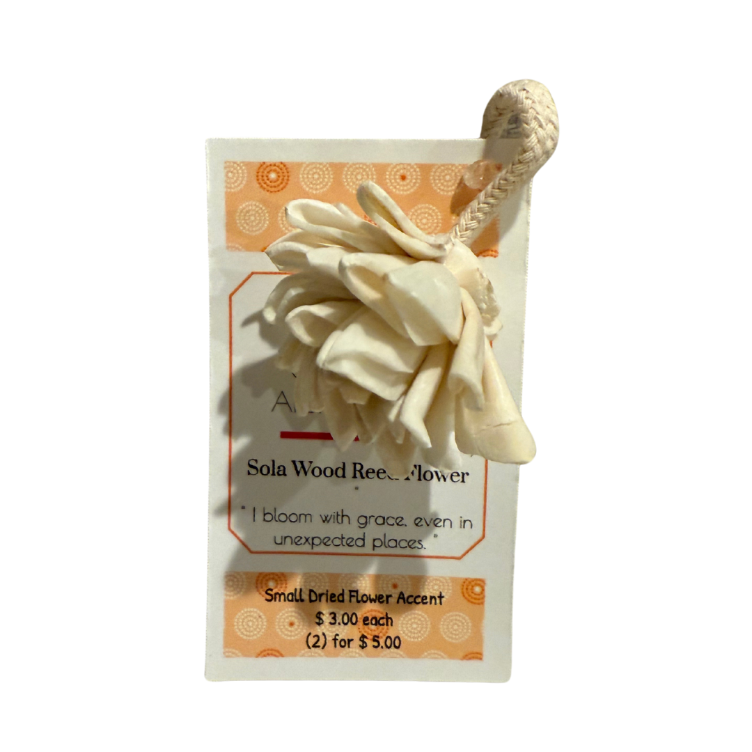 Sola Flower Reed - Small